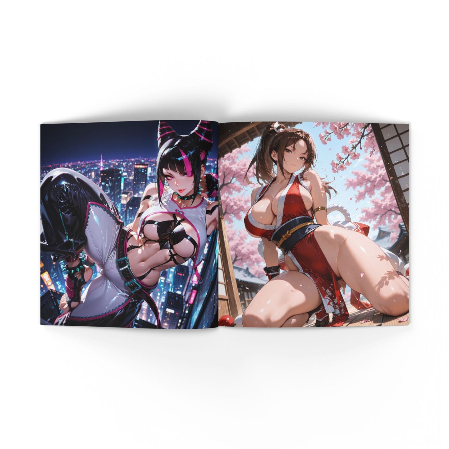 Street Fighter Pin-ups Soft Cover Photo Book